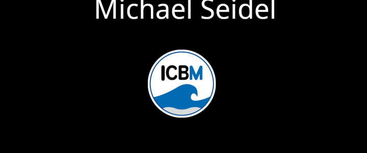 Interview with Michael Seidel Interview with Michael Seidel