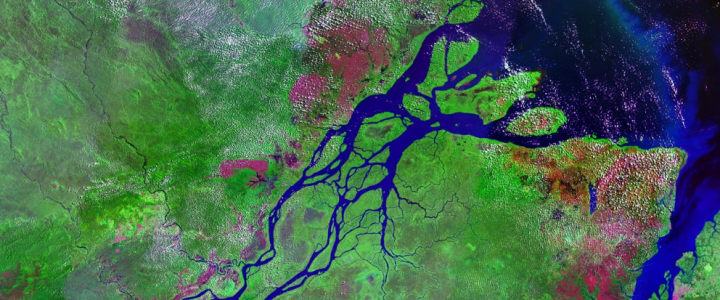 Brackish Water Brackish Water